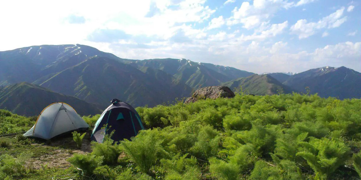 Camp at first light in the Hissar foothills